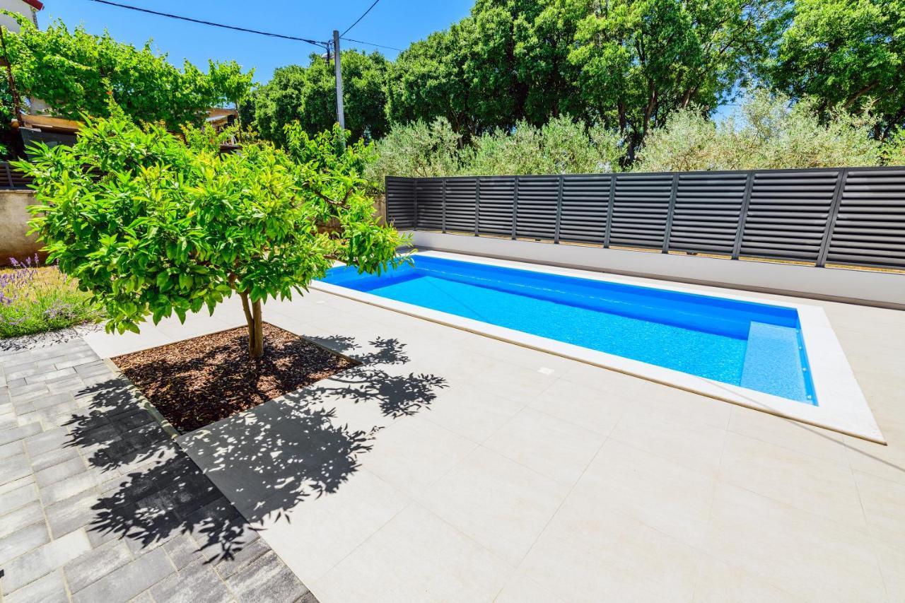 Apartment Andelka Zadar
